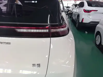 BYD Seagull