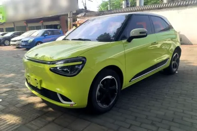 Dongfeng NAMMI 01