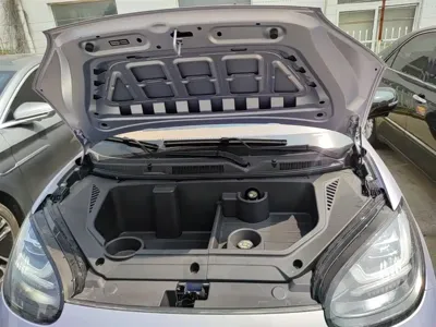 Wuling Bingo