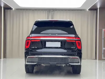 Hongqi 红旗金葵花国耀