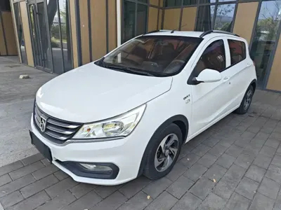 Baojun 310