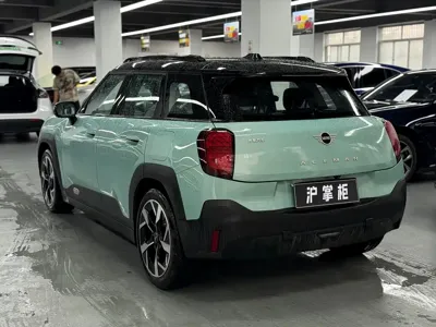 MINI MINI ACEMAN EV