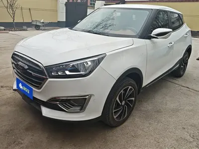 Zotye Zotye T300