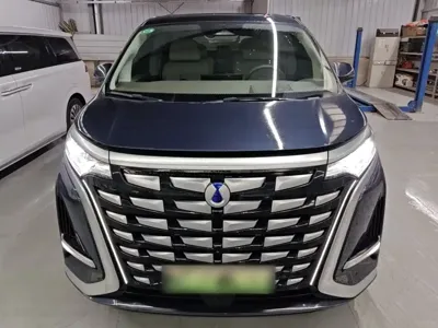 Denza Denza D9