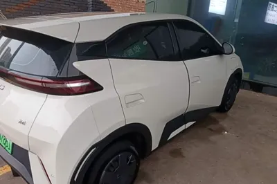 BYD Seagull
