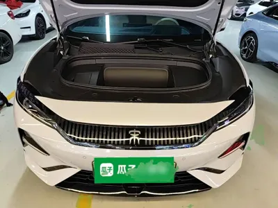 BYD L EV
