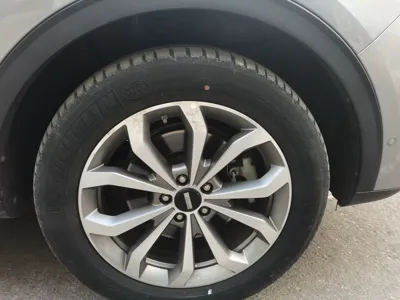 WEY VV6