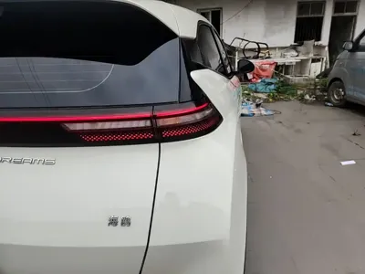 BYD Seagull