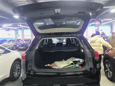 WEY Wey VV6