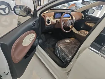 Wuling Bingo
