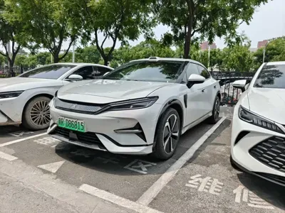 BYD L EV
