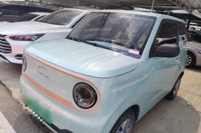 Geely Galaxy Panda