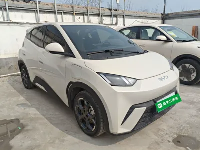 BYD Seagull