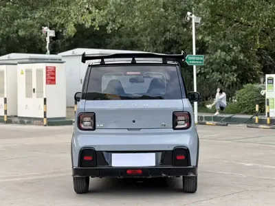 Galaxy Panda