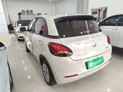 Wuling Bingo