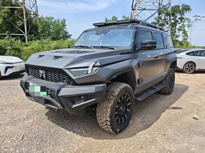 Mengshi Mengshi 917