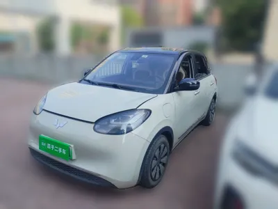Wuling Bingo
