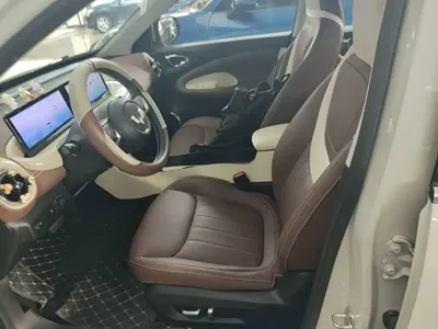 Wuling Bingo