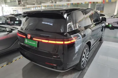 Denza N9