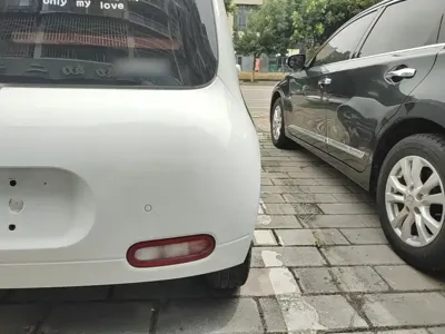 ORA Ora White Cat