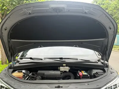 BYD PLUS