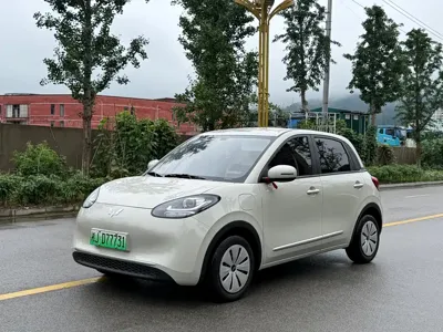 Wuling Bingo