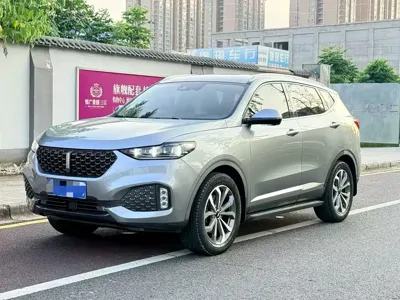 WEY Wey VV6