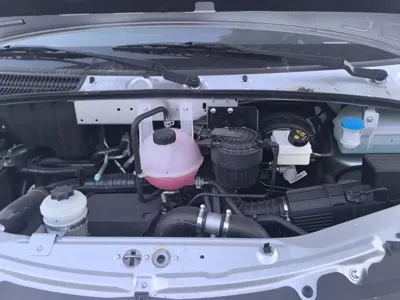 Maxus V80