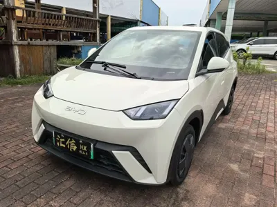 BYD Seagull
