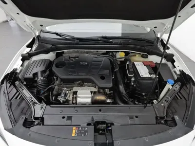 MG MG6