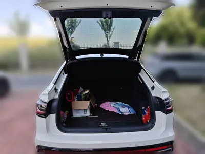 Volkswagen Tiguan X
