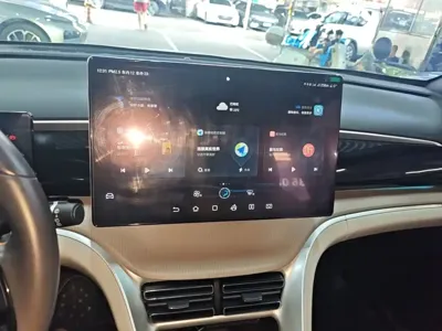 BYD Pro New Energy