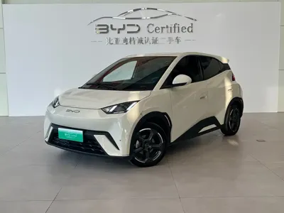 BYD Seagull
