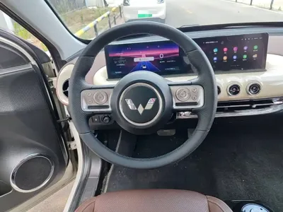 Wuling Bingo