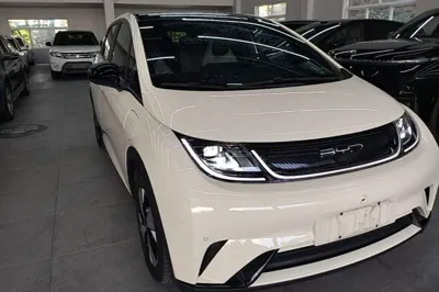 BYD Dolphin