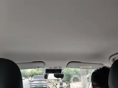 NETA Neta V