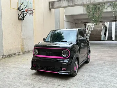 Galaxy Panda