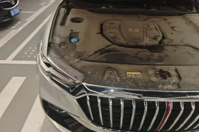 Hongqi HS5