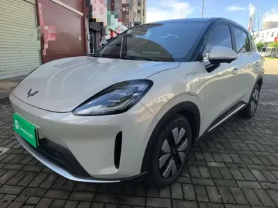 Wuling 缤果S