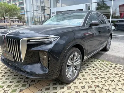 Hongqi Hongqi E-HS9