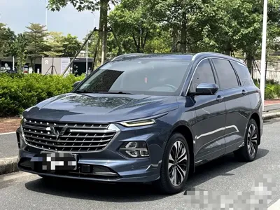 Wuling Victory