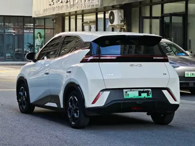 BYD Seagull
