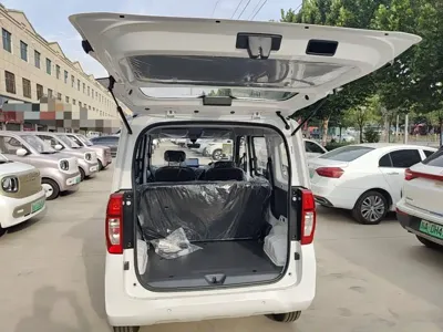 Wuling Zhiguang EV