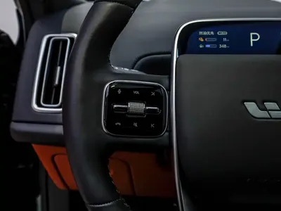 Li Auto Li L9