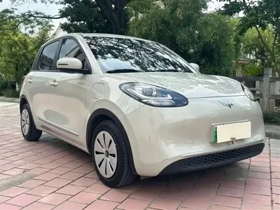 Wuling Bingo