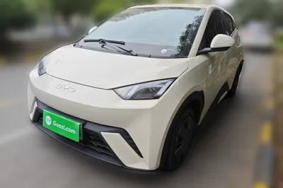 BYD Seagull