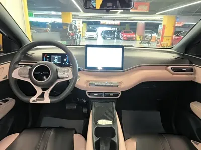 BYD Seagull