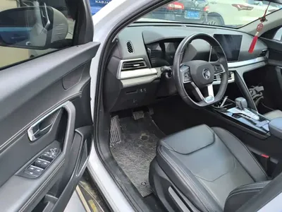 BYD Pro