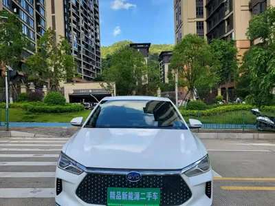 BYD e2