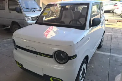 Geely Galaxy Panda